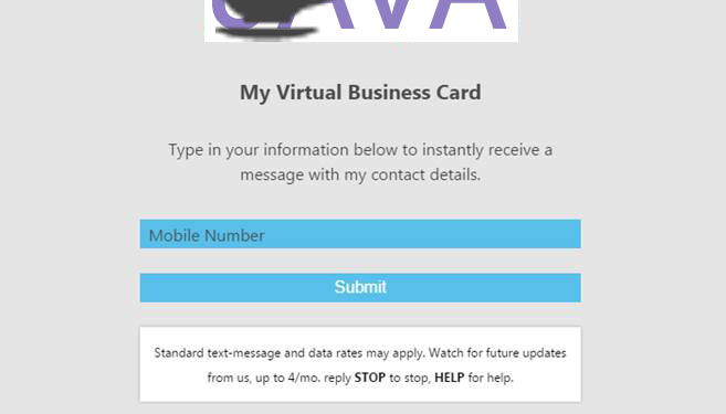 screenshot of the virtual business card website